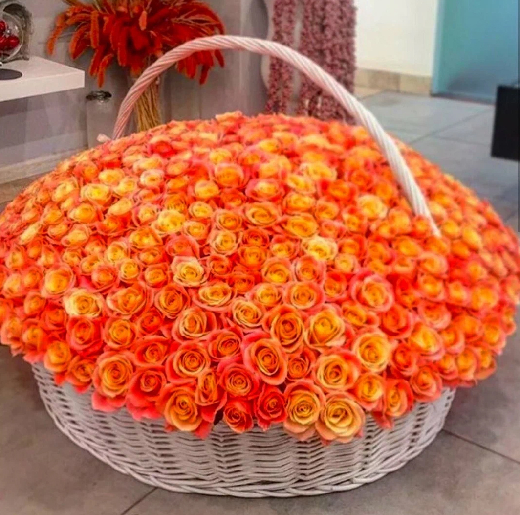 501 оранжевая роза в корзине