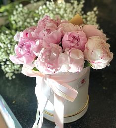 11 пион в коробку