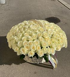 151 белая роза в корзине