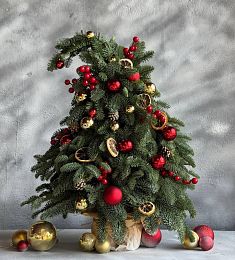 Елка "Red Berries"