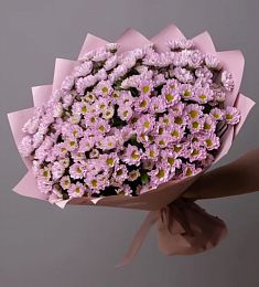 Букет из 11 розовых кустовых хризантем сантини 