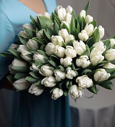 49 белых тюльпан в оформлении