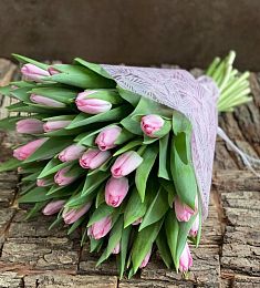 Букет "Зелёная весна" из 35 тюльпан