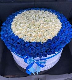 Коробка-гигант с синими розами 