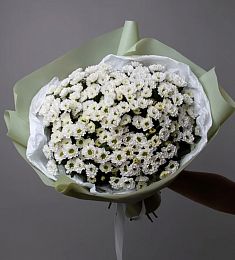 Букет из 11 белых кустовых хризантем сантини 